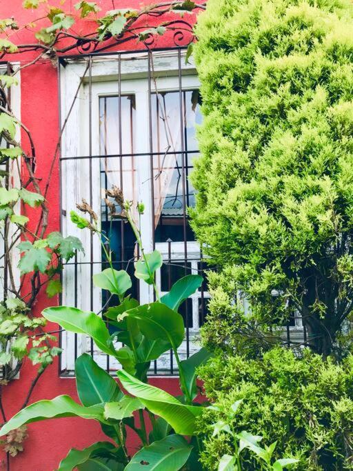 Appartamento Casa I'X San Juan La Laguna Esterno foto
